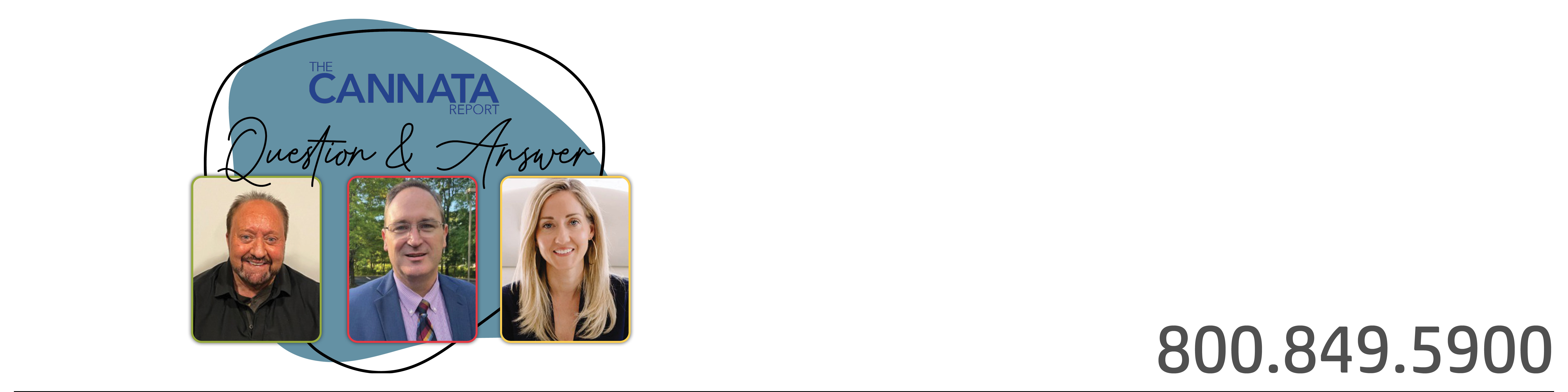 Hubspot Insights Blog Banners-Cannata Report