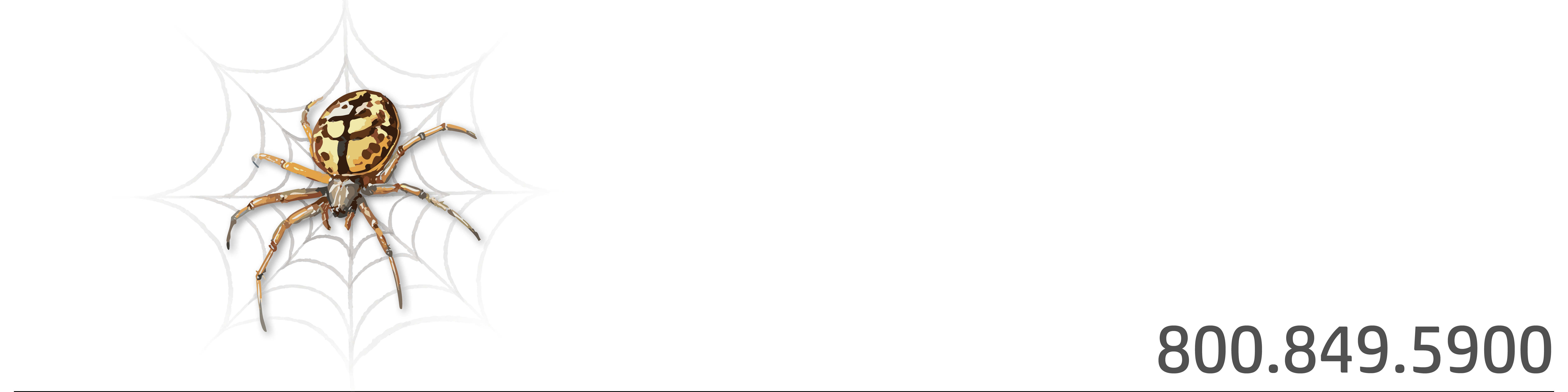 Hubspot Insights Blog Banners_Tangled in Web