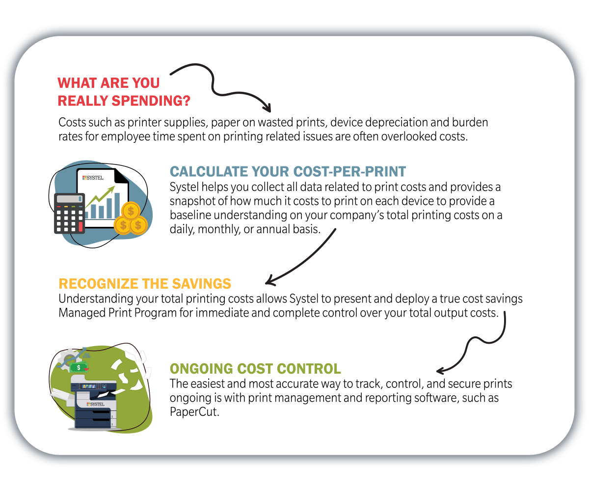 MPS Infographic_NEW_2024-1